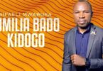 Audio: Sifaeli Mwabuka - Vumilia Bado Kidogo (Mp3 Download)
