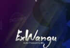 Audio: D Voice – Ex wangu (Mp3 Download)