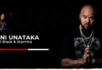 Audio: P-Funk Majani ft. P1 Black & Stamina - Nini Unataka (Mp3 Download)