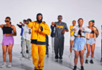 VIDEO: Whozu Ft. Billnass & Mbosso - Ameyatimba Remix (Mp4 Download)
