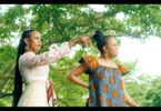 VIDEO: Lulu Diva Ft. Nandy – Mtaalamu (Mp4 Download)