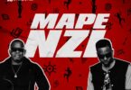 Audio: Seneta Ft G Nako - Mapenzi (Mp3 Download)