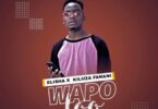 Wapo By Dogo Elisha Ft Kiluza Fanani