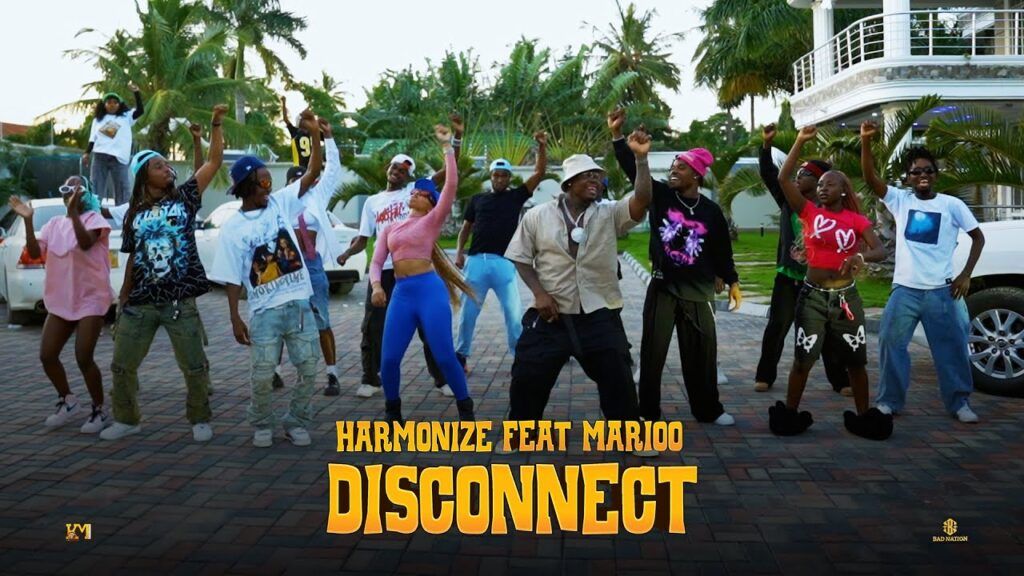 Harmonize Ft. Marioo - Disconnect