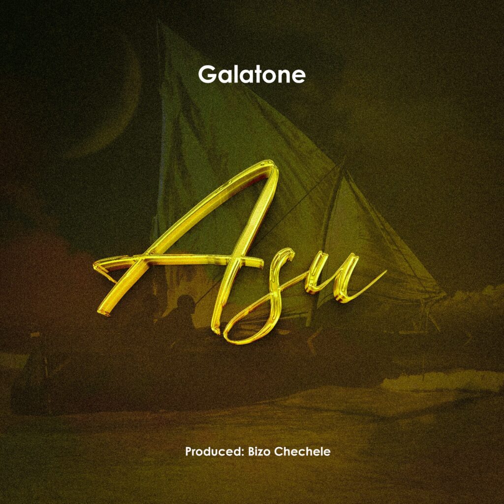 Galatone - Asu