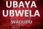 Wadudu - Ubaya Ubwela